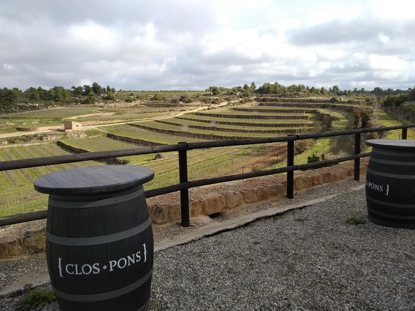 Viñedos de Clos Pons